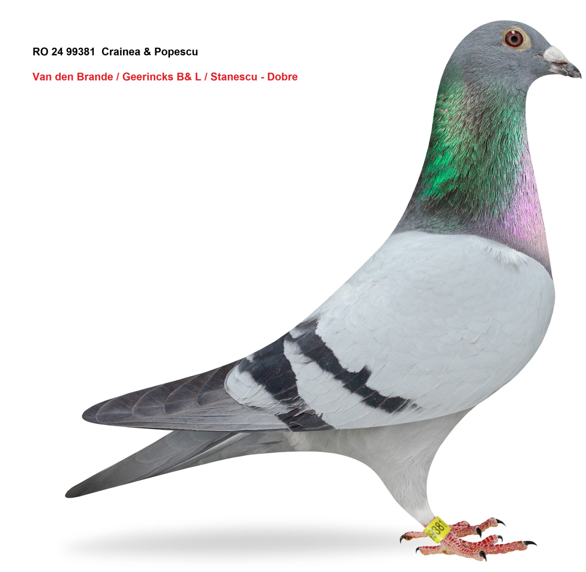 Best of Europa MIX 2