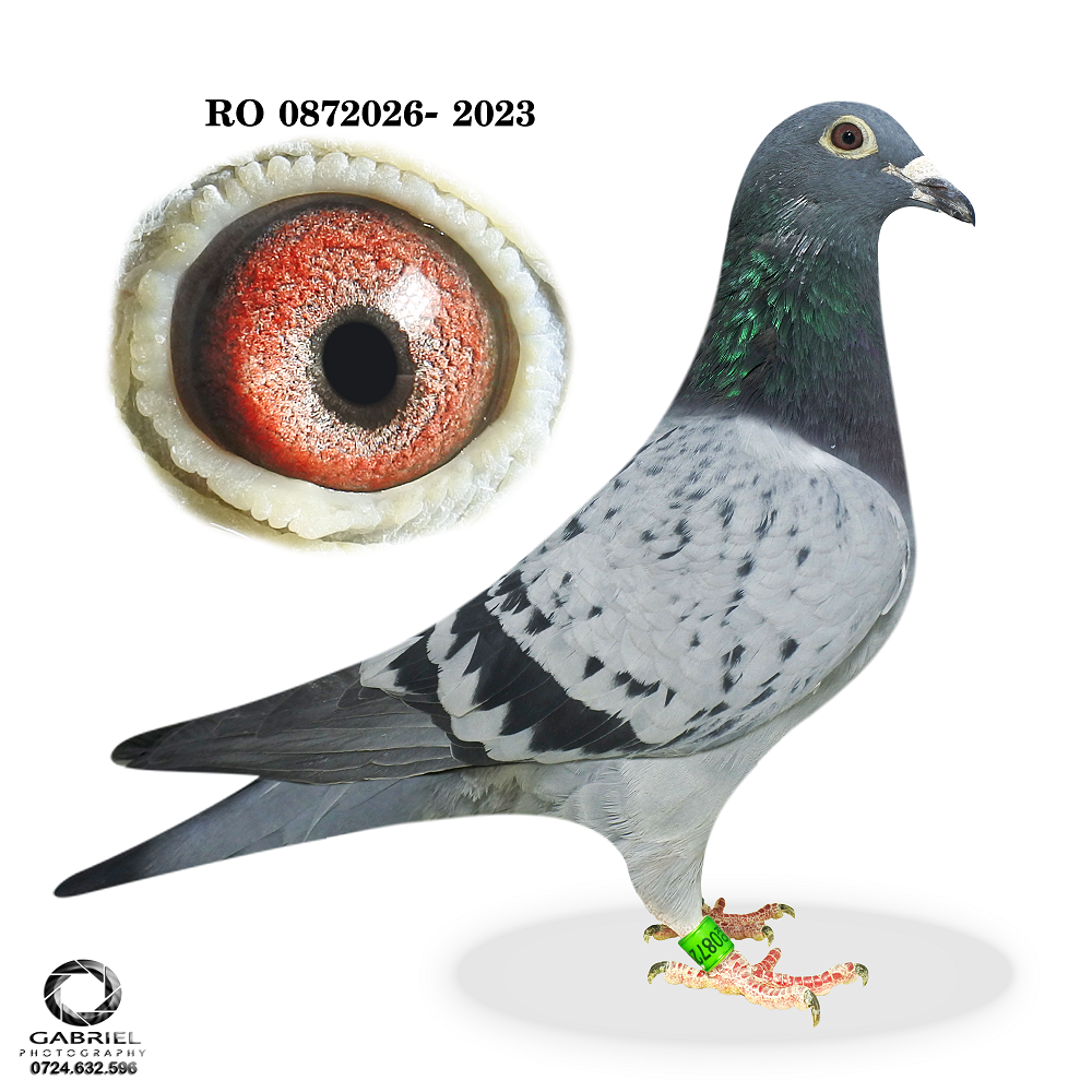 Best of Europa MIX 2