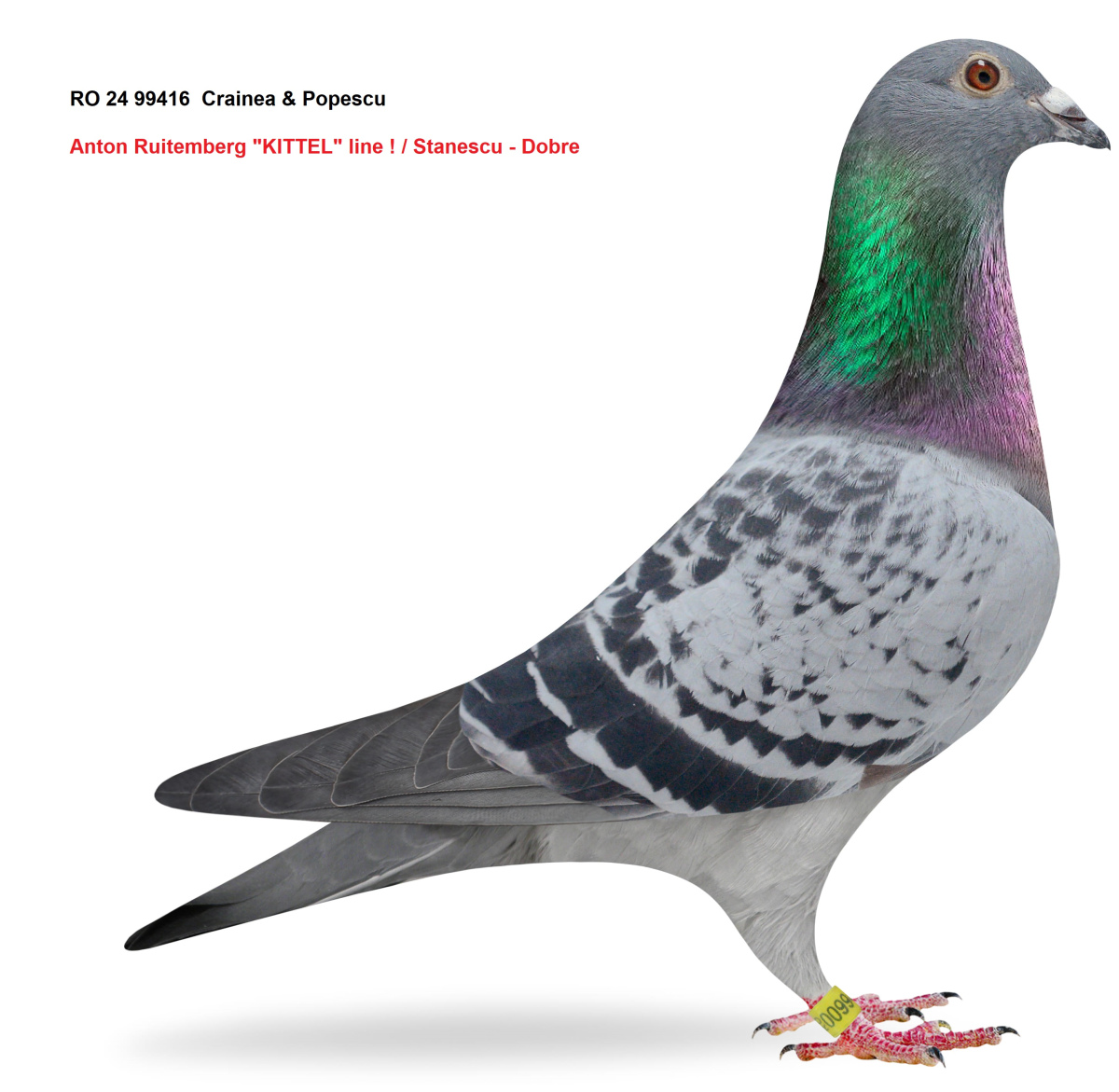 Best of Europa MIX 2