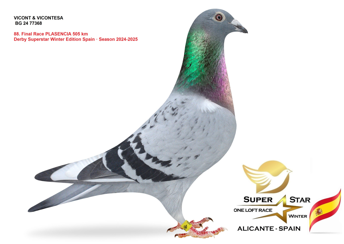 

88. Final Race PLASENCIA 505 km 
Derby Superstar Winter Edition Spain · Season 2024-2025 VICONT & VICONTESA
 BG 24 77368