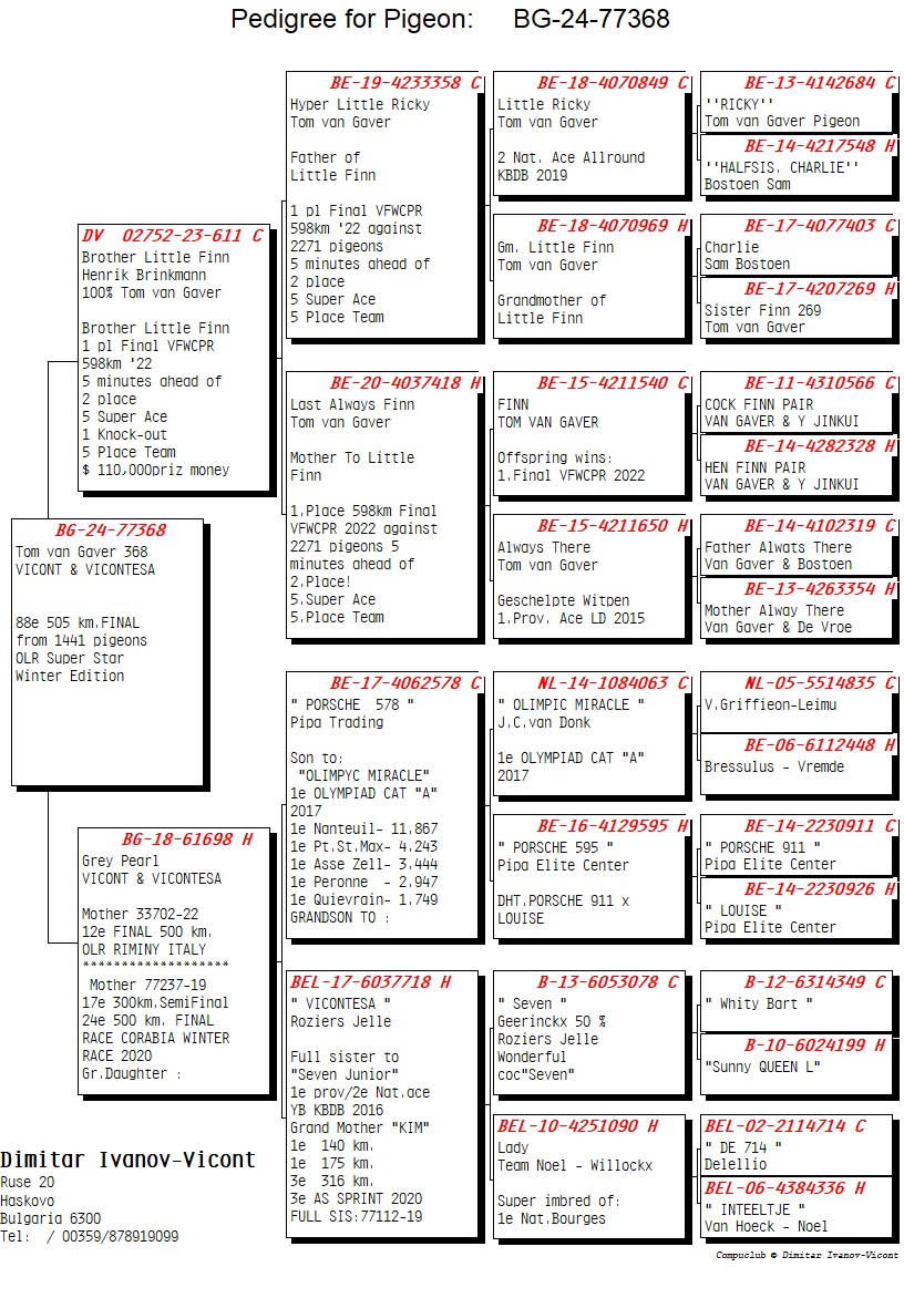 

88. Final Race PLASENCIA 505 km 
Derby Superstar Winter Edition Spain · Season 2024-2025 VICONT & VICONTESA
 BG 24 77368