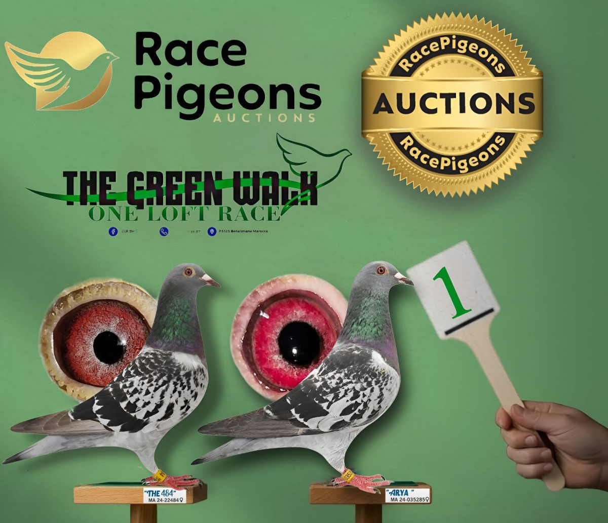 OLR The Green Walk - Part 2