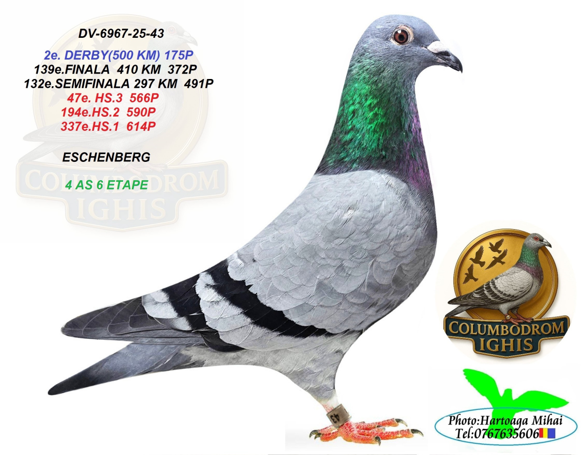 2. Derby 500km, 4. Ace 6 Races Columbodrom IGHIS OLR Season 2025 Orig. 
ESCHENBERG 
 DV-6967-25-43 