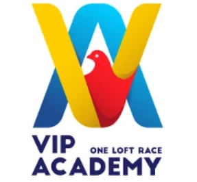 VIP ACADEMY OLR - part 5