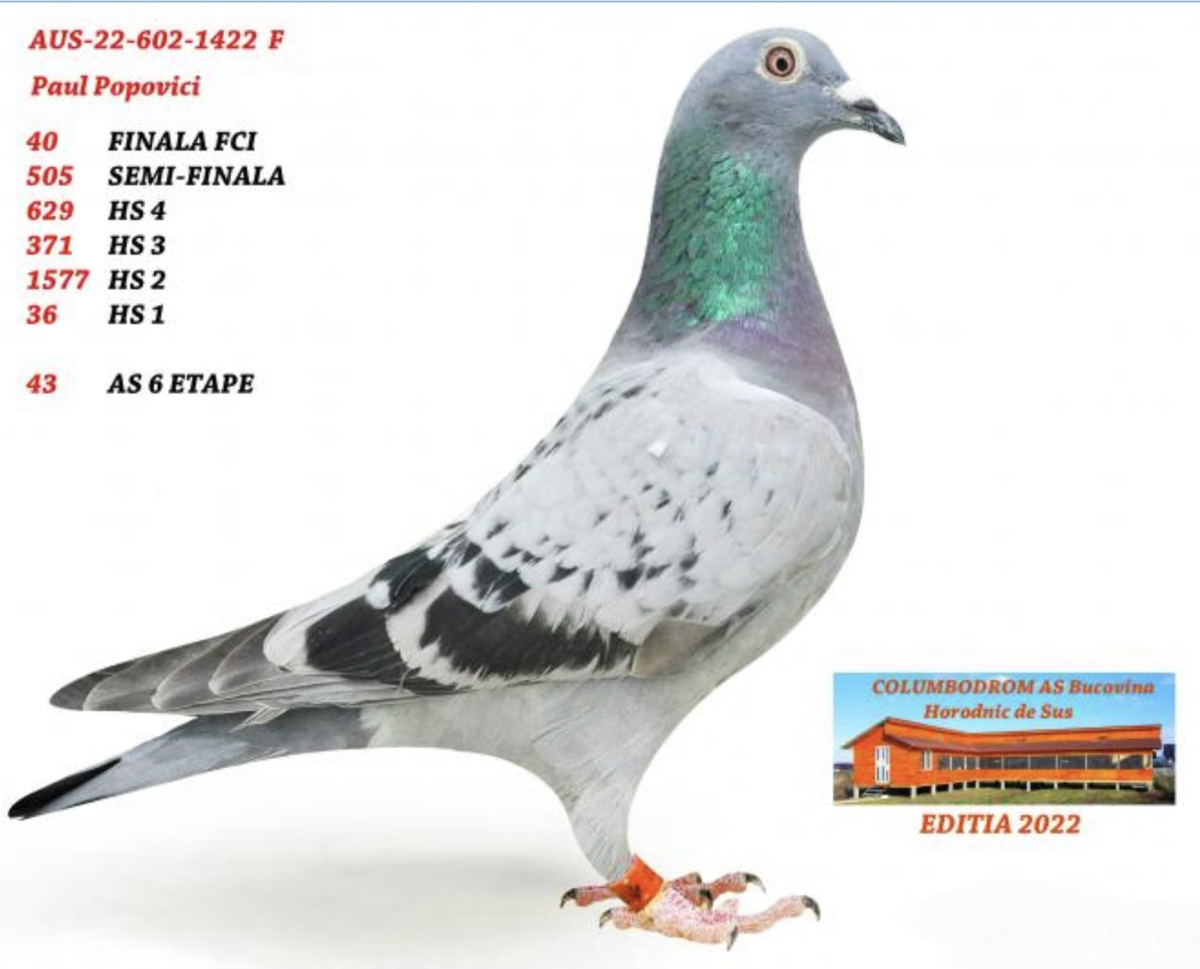 89. Final Race 460km Alexandropolis (GR)
VIP ACADEMY OLR Season 2025

Orig.PAUL POPOVICI
 AUS-602-25-902