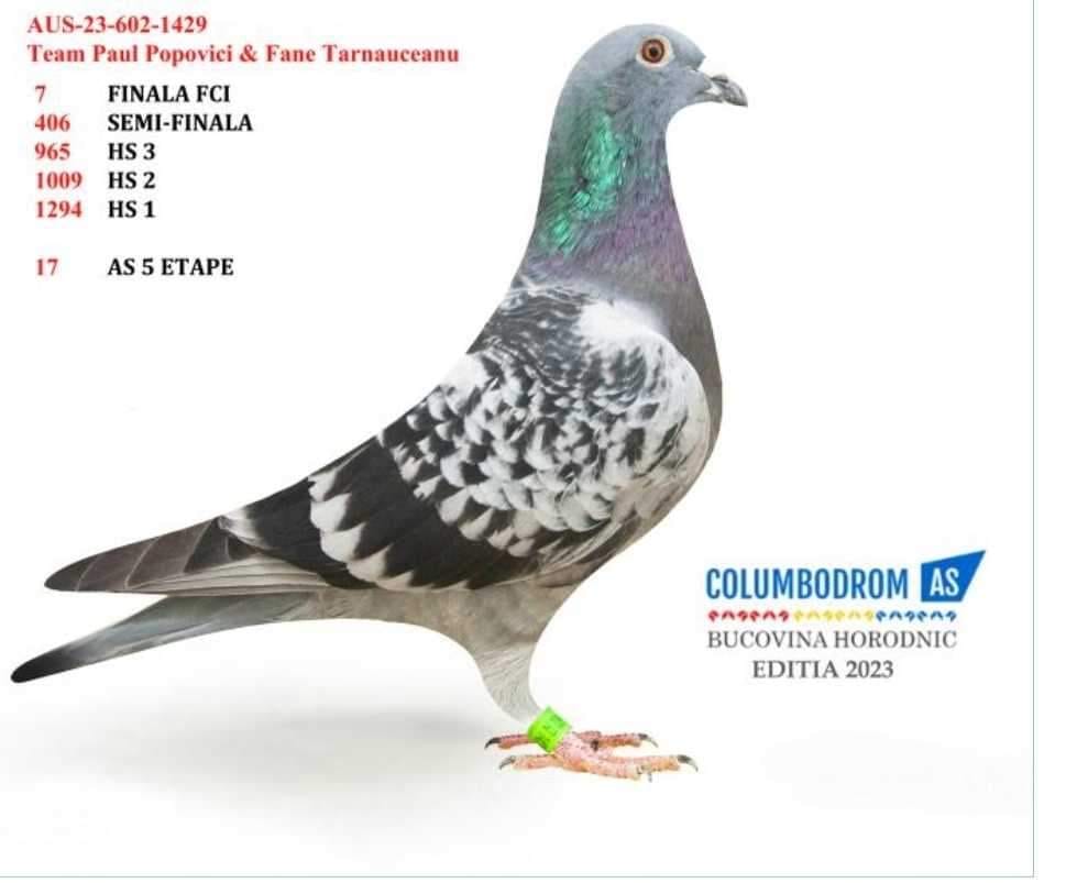 89. Final Race 460km Alexandropolis (GR)
VIP ACADEMY OLR Season 2025

Orig.PAUL POPOVICI
 AUS-602-25-902