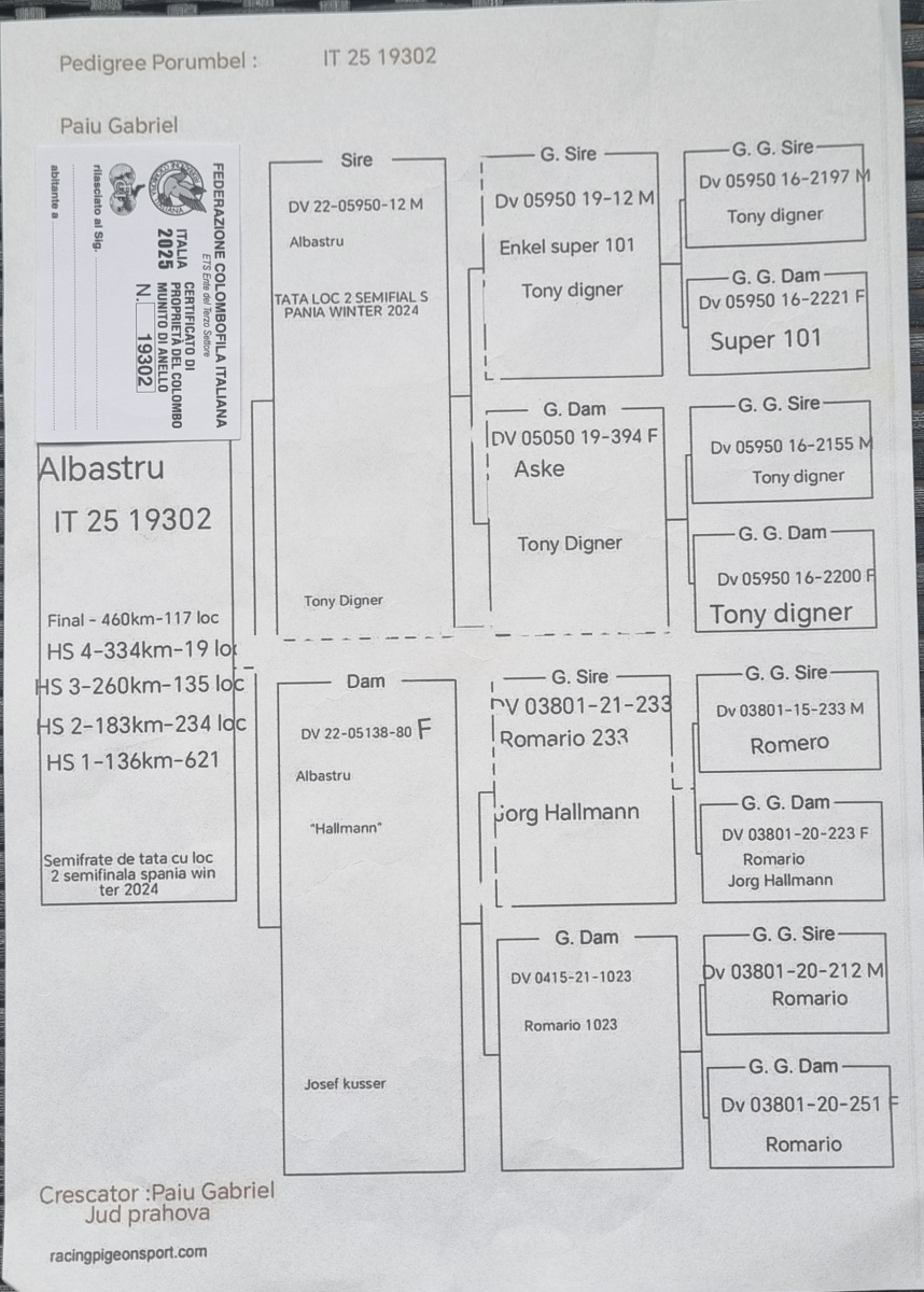 117. Final Race 460km Alexandropolis (GR)
VIP ACADEMY OLR Season 2025

Orig.MARCEL & GABI PAIU
 IT-25-19302
