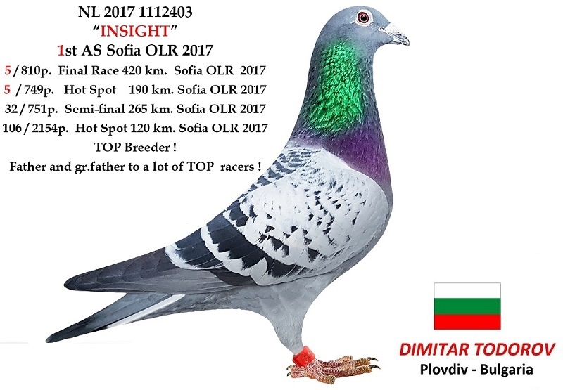 100. Final Race 460km Alexandropolis (GR)
VIP ACADEMY OLR Season 2025

Orig. SUPER STAR A
 DV-6327-25-453