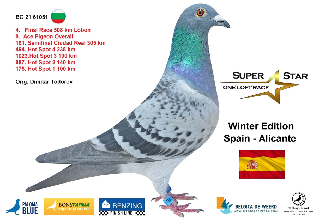 100. Final Race 460km Alexandropolis (GR)
VIP ACADEMY OLR Season 2025

Orig. SUPER STAR A
 DV-6327-25-453