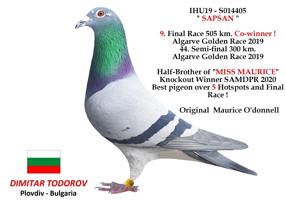 100. Final Race 460km Alexandropolis (GR)
VIP ACADEMY OLR Season 2025

Orig. SUPER STAR A
 DV-6327-25-453