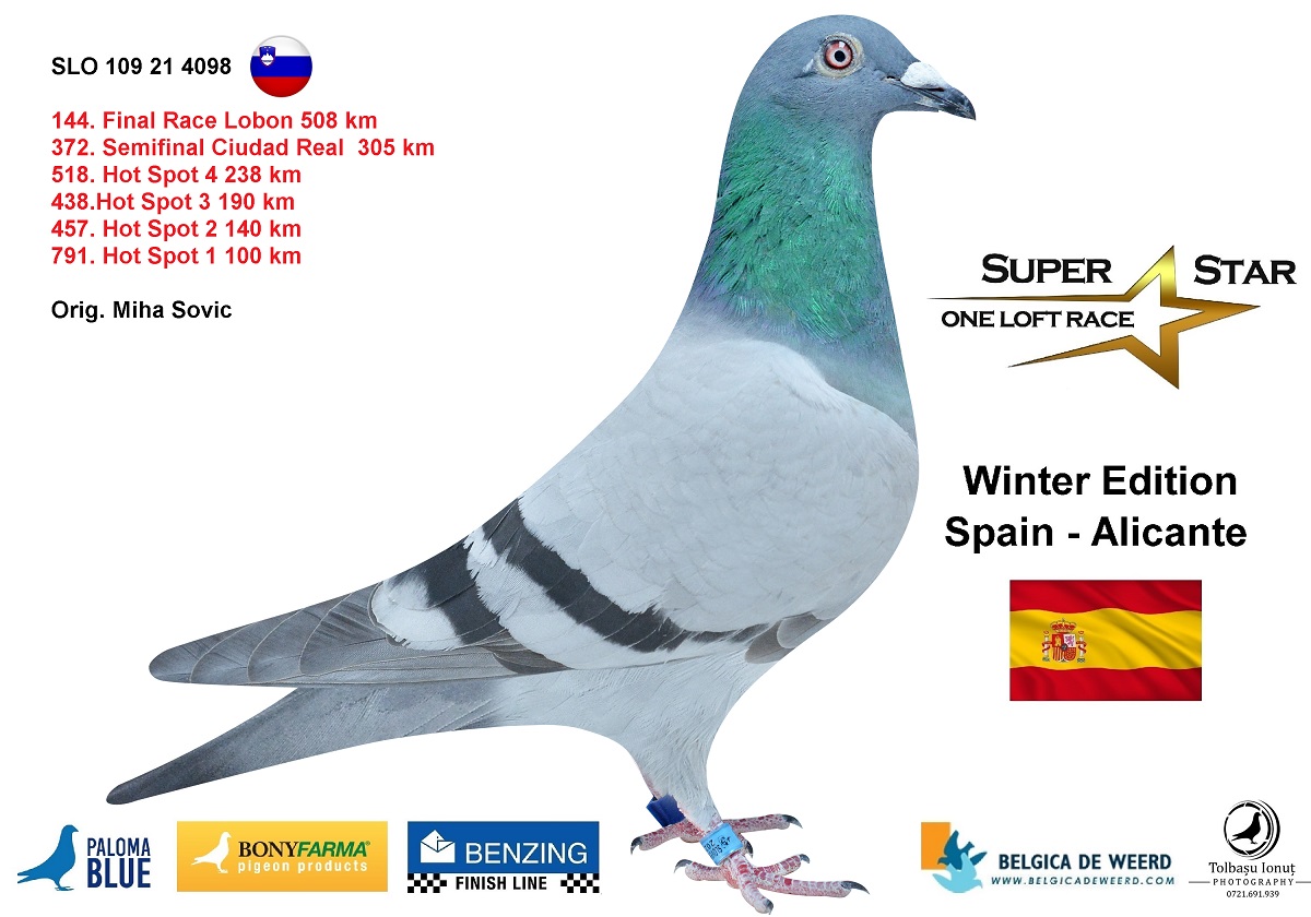 100. Final Race 460km Alexandropolis (GR)
VIP ACADEMY OLR Season 2025

Orig. SUPER STAR A
 DV-6327-25-453