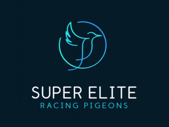 SUPER ELITE PIGEONS !