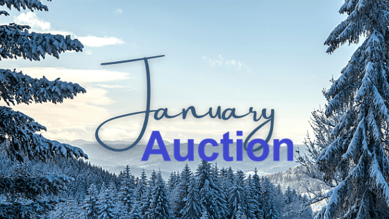 January Auction !