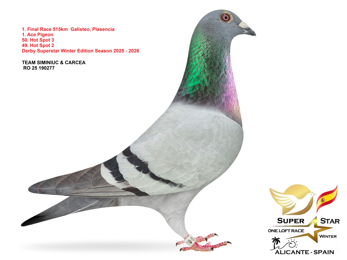 Final Superstar Winter Edition - part 1