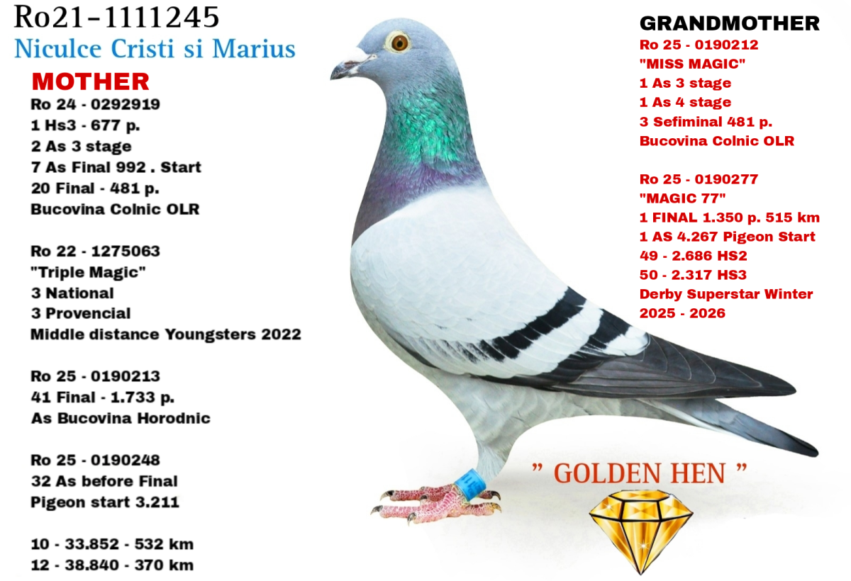 1. Final Race 515km  Galisteo, Plasencia;
1. Ace Pigeon,
50. Hot Spot 3,
49. Hot Spot 2
Derby Superstar Winter Edition Season 2025 - 2026 

TEAM SIMINIUC & CARCEA
 RO 25 190277
