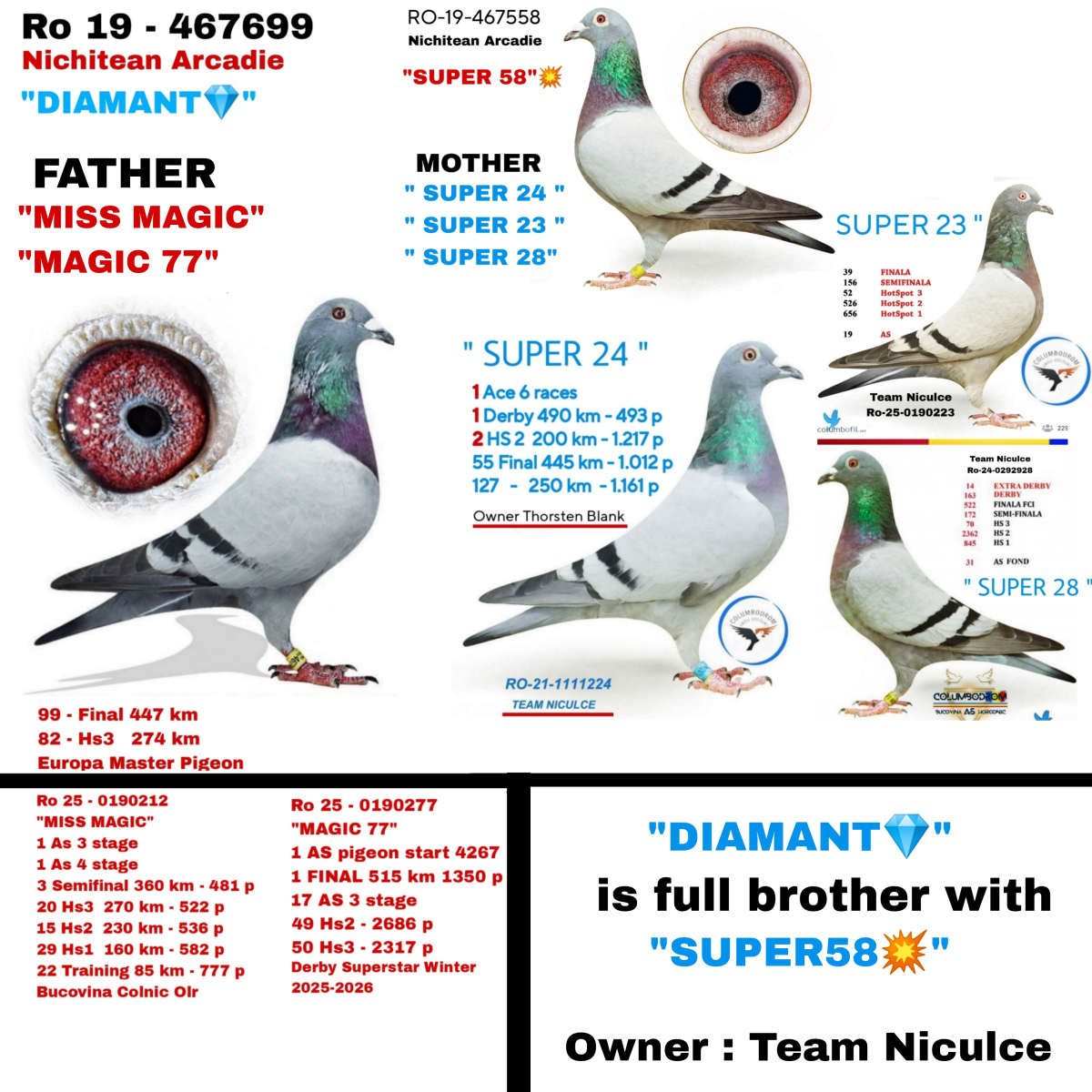 1. Final Race 515km  Galisteo, Plasencia;
1. Ace Pigeon,
50. Hot Spot 3,
49. Hot Spot 2
Derby Superstar Winter Edition Season 2025 - 2026 

TEAM SIMINIUC & CARCEA
 RO 25 190277
