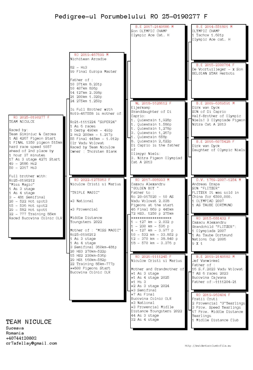 1. Final Race 515km  Galisteo, Plasencia;
1. Ace Pigeon,
50. Hot Spot 3,
49. Hot Spot 2
Derby Superstar Winter Edition Season 2025 - 2026 

TEAM SIMINIUC & CARCEA
 RO 25 190277
