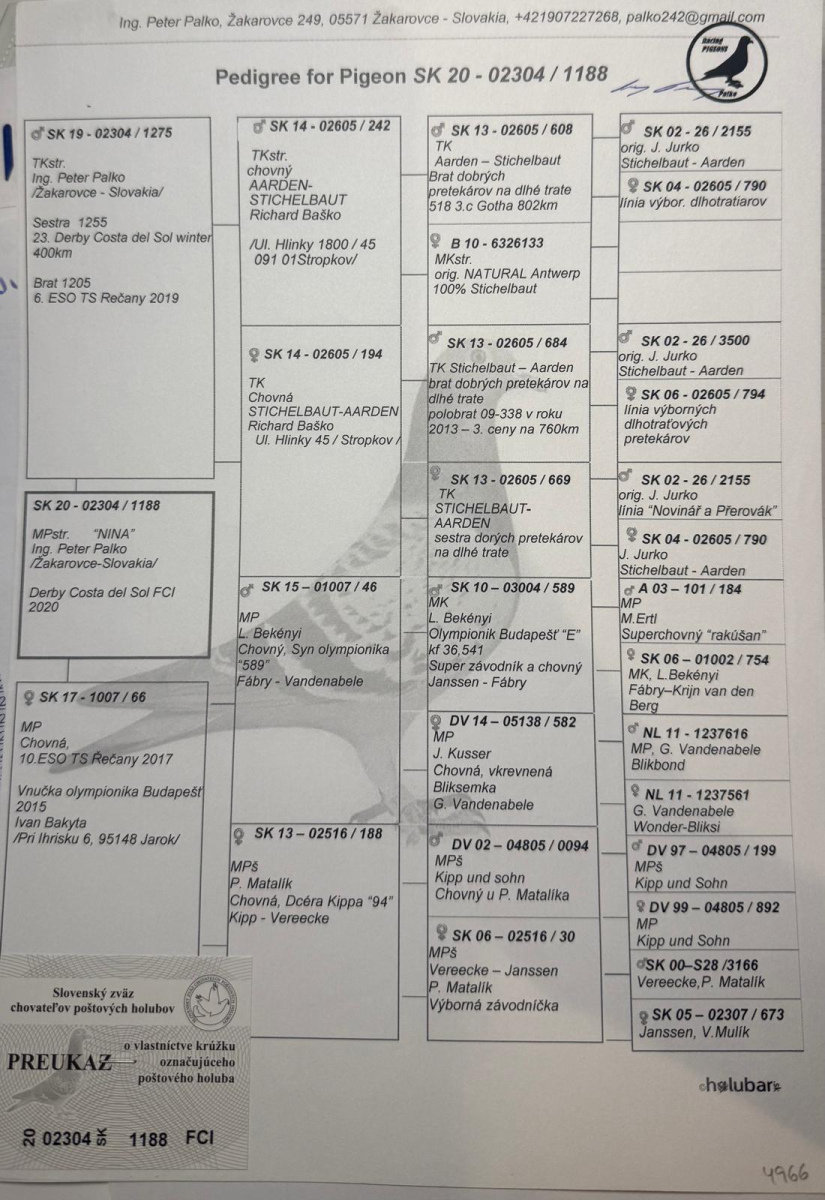 2. Final Race 515km Galisteo, Plasencia;
3. Ace Pigeon
Derby Superstar Winter Edition Season 2025 - 2026 

STOICA NICOLAE
 ESP 25 299071
