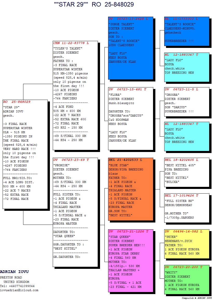 3. Final Race 515km Galisteo, Plasencia;
10. Ace Pigeon
Derby Superstar Winter Edition Season 2025 - 2026 

IOVU ADRIAN
 RO 25 848029
