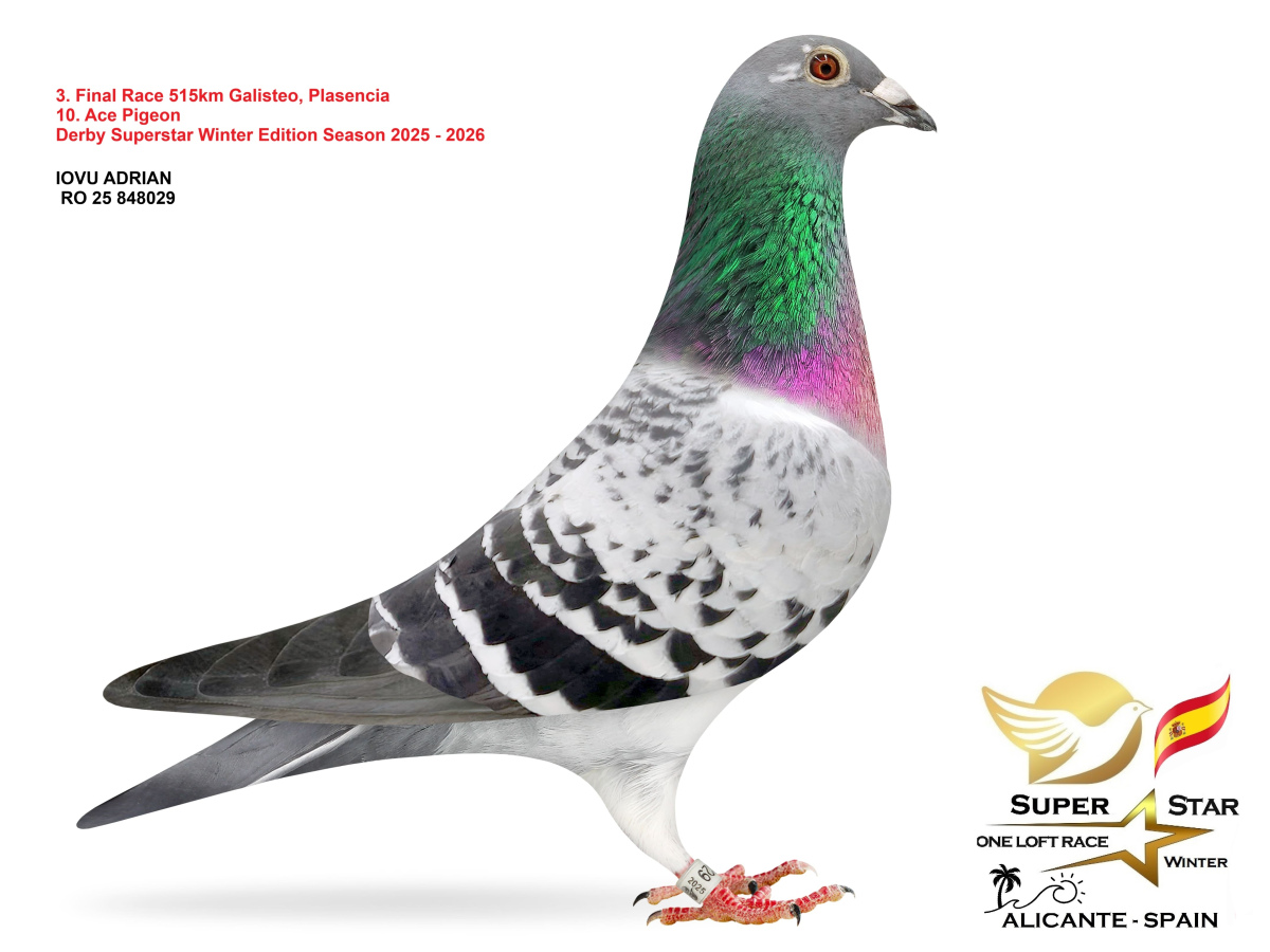 Final Superstar Winter Edition - part 1