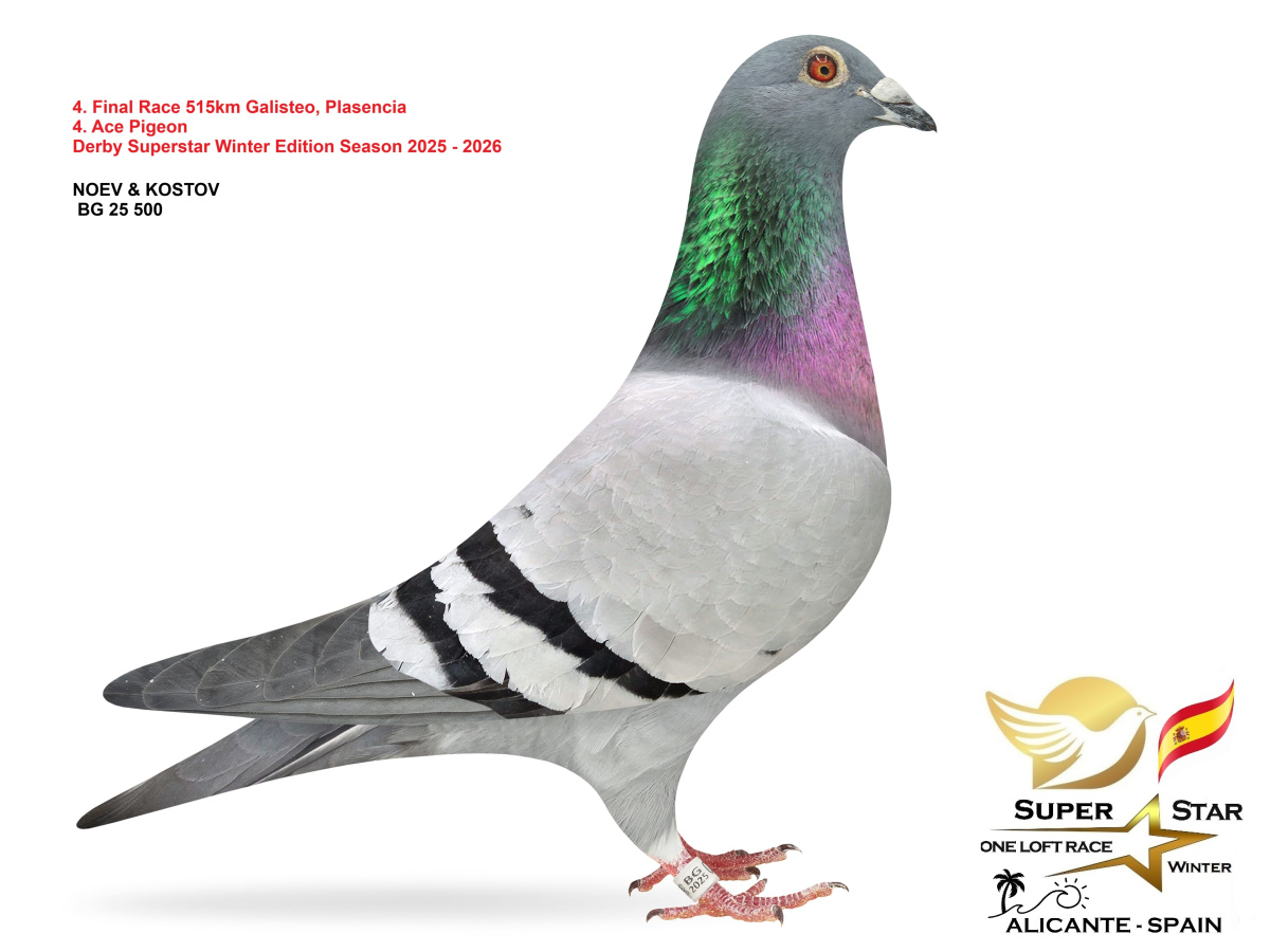 Final Superstar Winter Edition - part 1