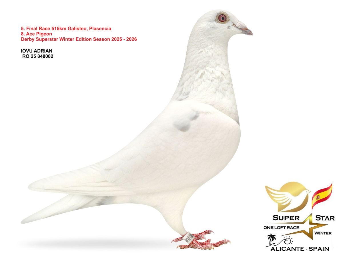 Final Superstar Winter Edition - part 1