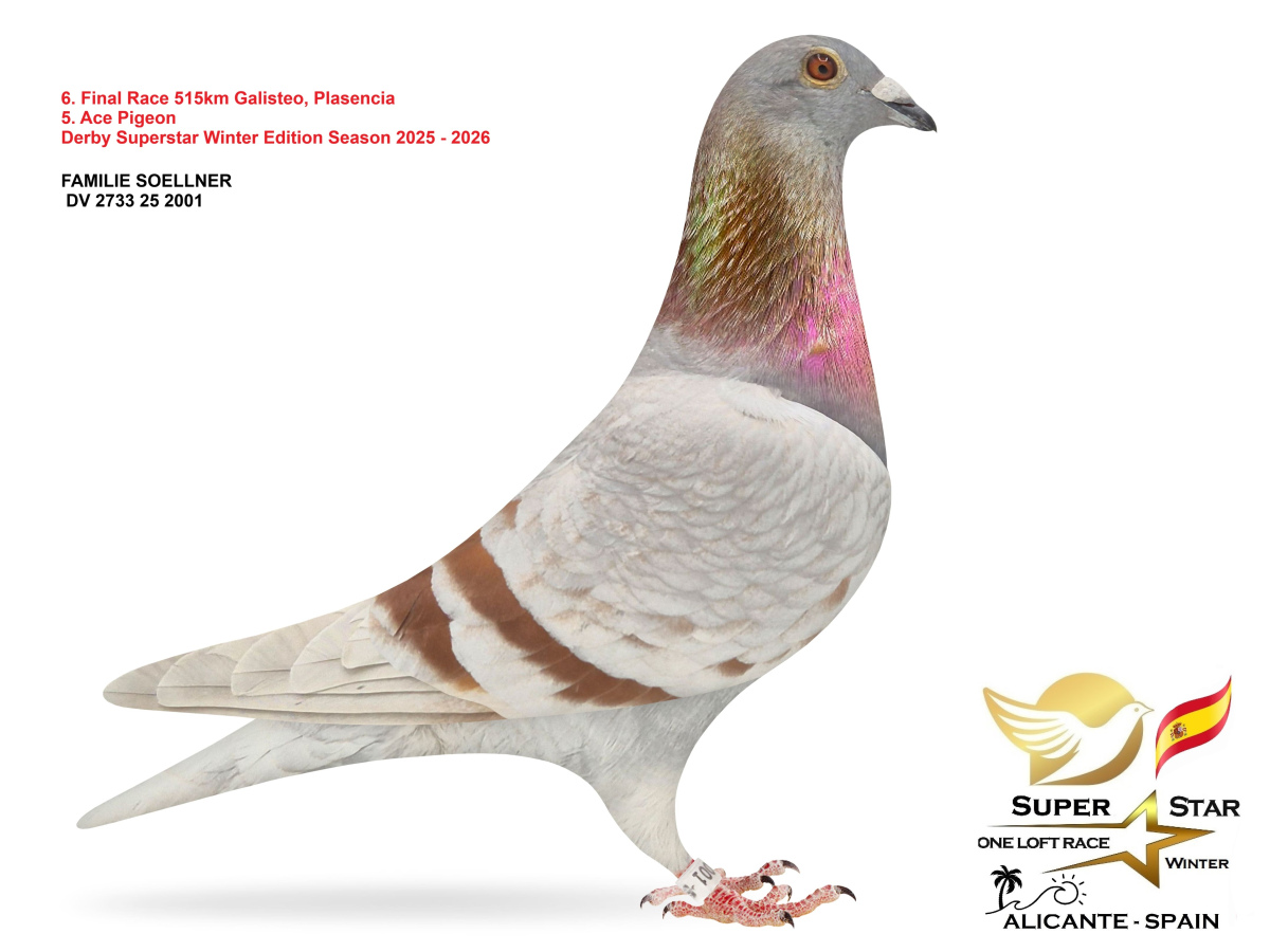 Final Superstar Winter Edition - part 1