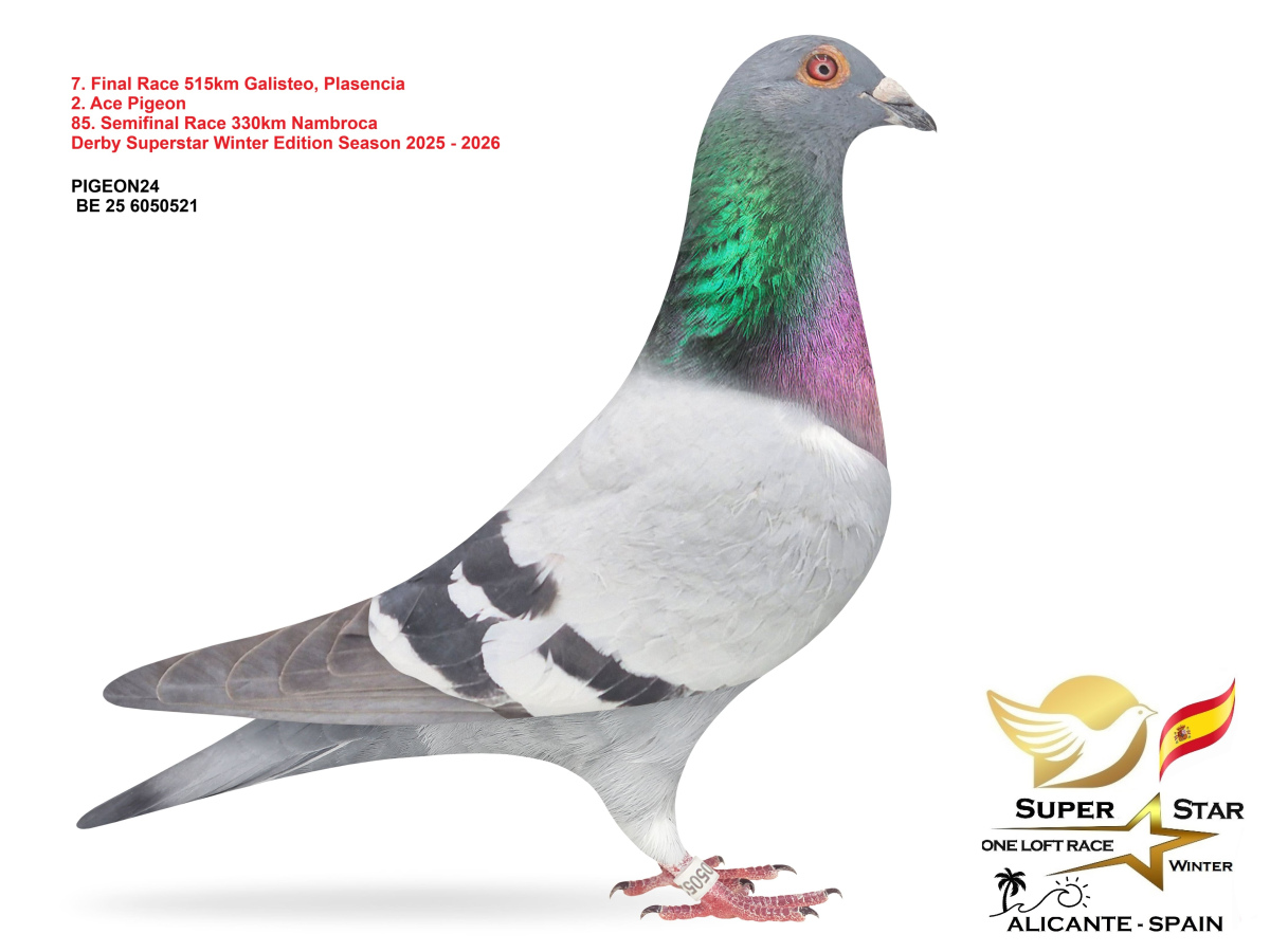 Final Superstar Winter Edition - part 1