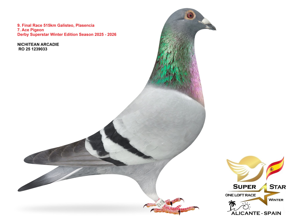 Final Superstar Winter Edition - part 1