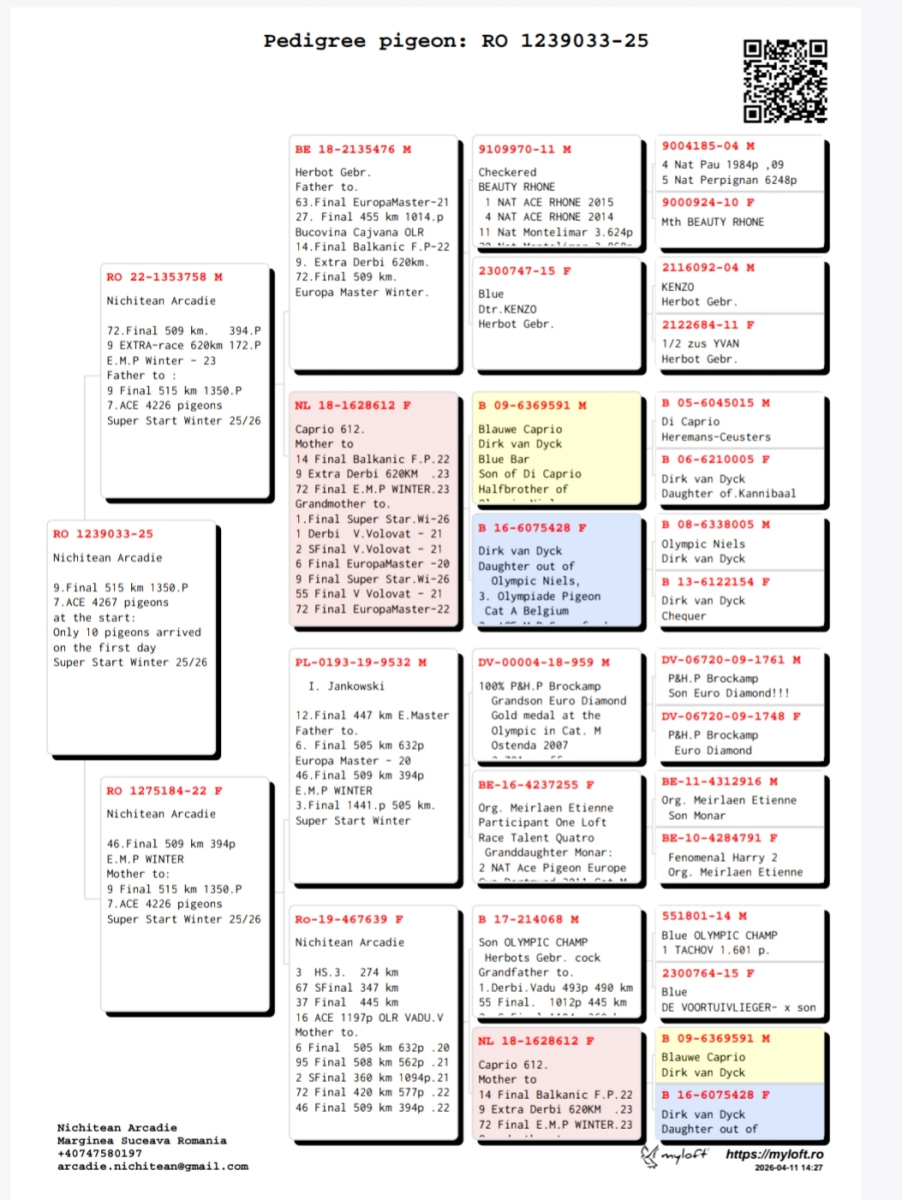 9. Final Race 515km Galisteo, Plasencia;
7. Ace Pigeon
Derby Superstar Winter Edition Season 2025 - 2026 
	
NICHITEAN ARCADIE
 RO 25 1239033
