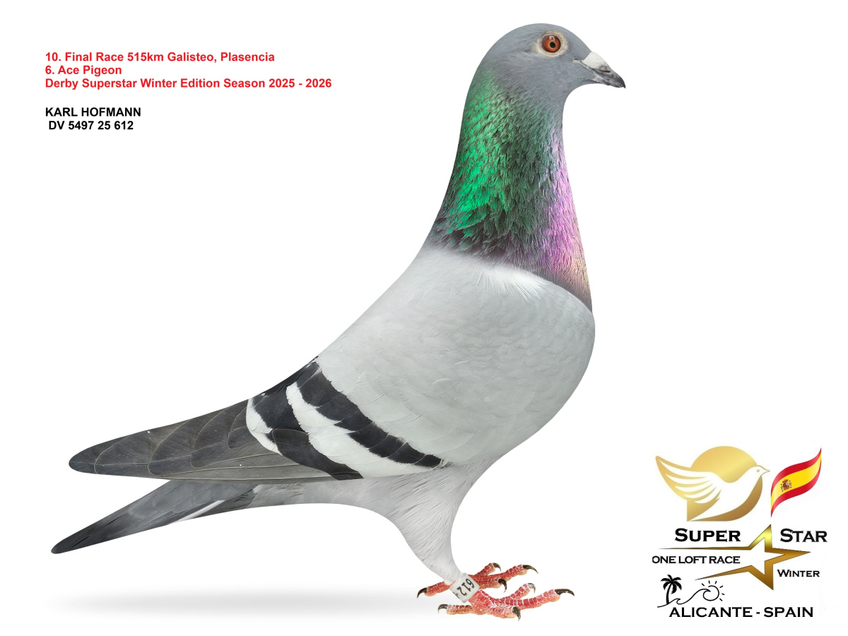 Final Superstar Winter Edition - part 1