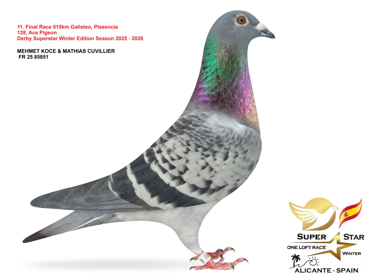 Final Superstar Winter Edition - part 1