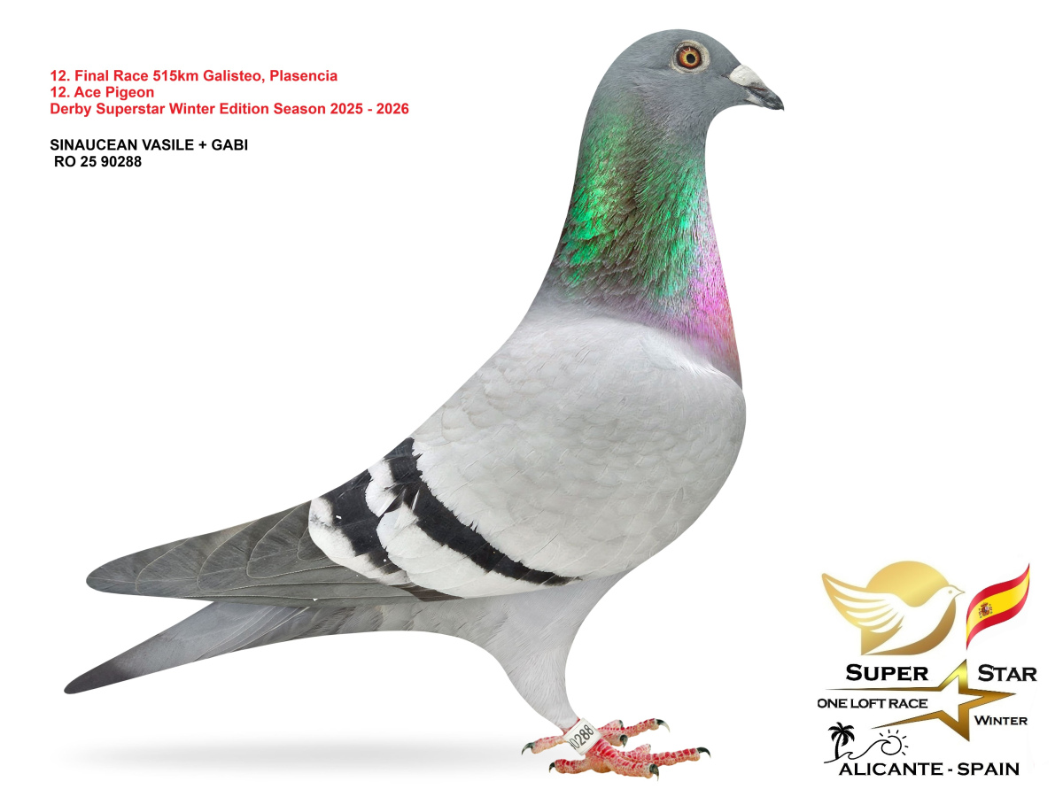 Final Superstar Winter Edition - part 1