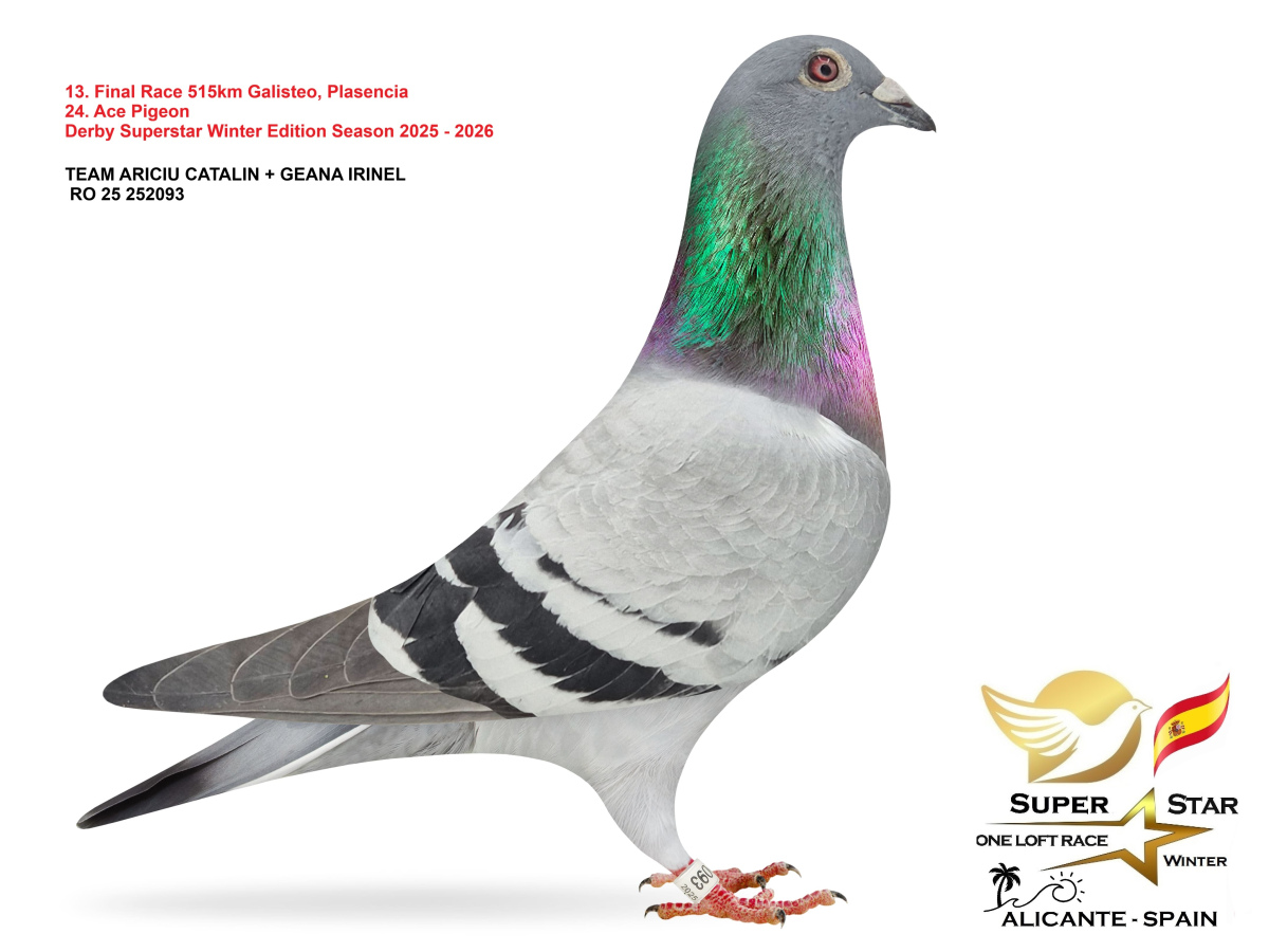 Final Superstar Winter Edition - part 1