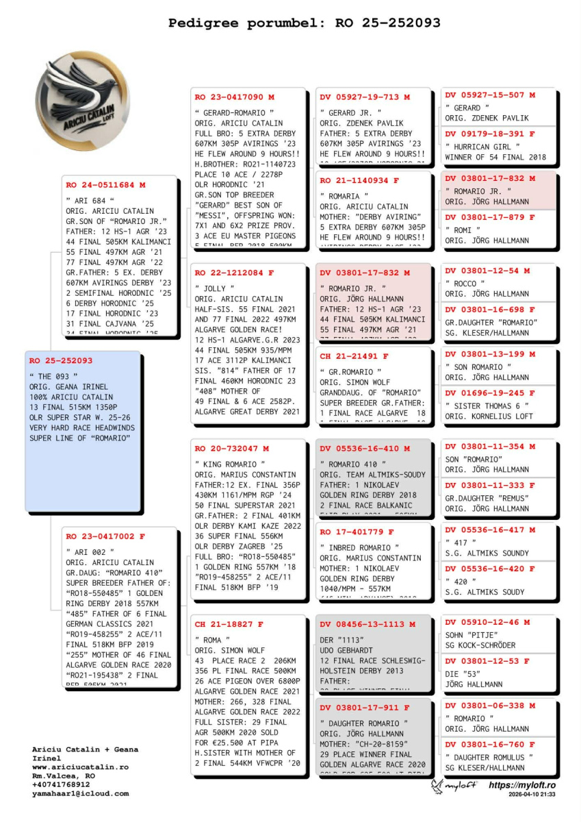 13. Final Race 515km Galisteo, Plasencia;
24. Ace Pigeon
Derby Superstar Winter Edition Season 2025 - 2026 

TEAM ARICIU CATALIN + GEANA IRINEL
 RO 25 252093
