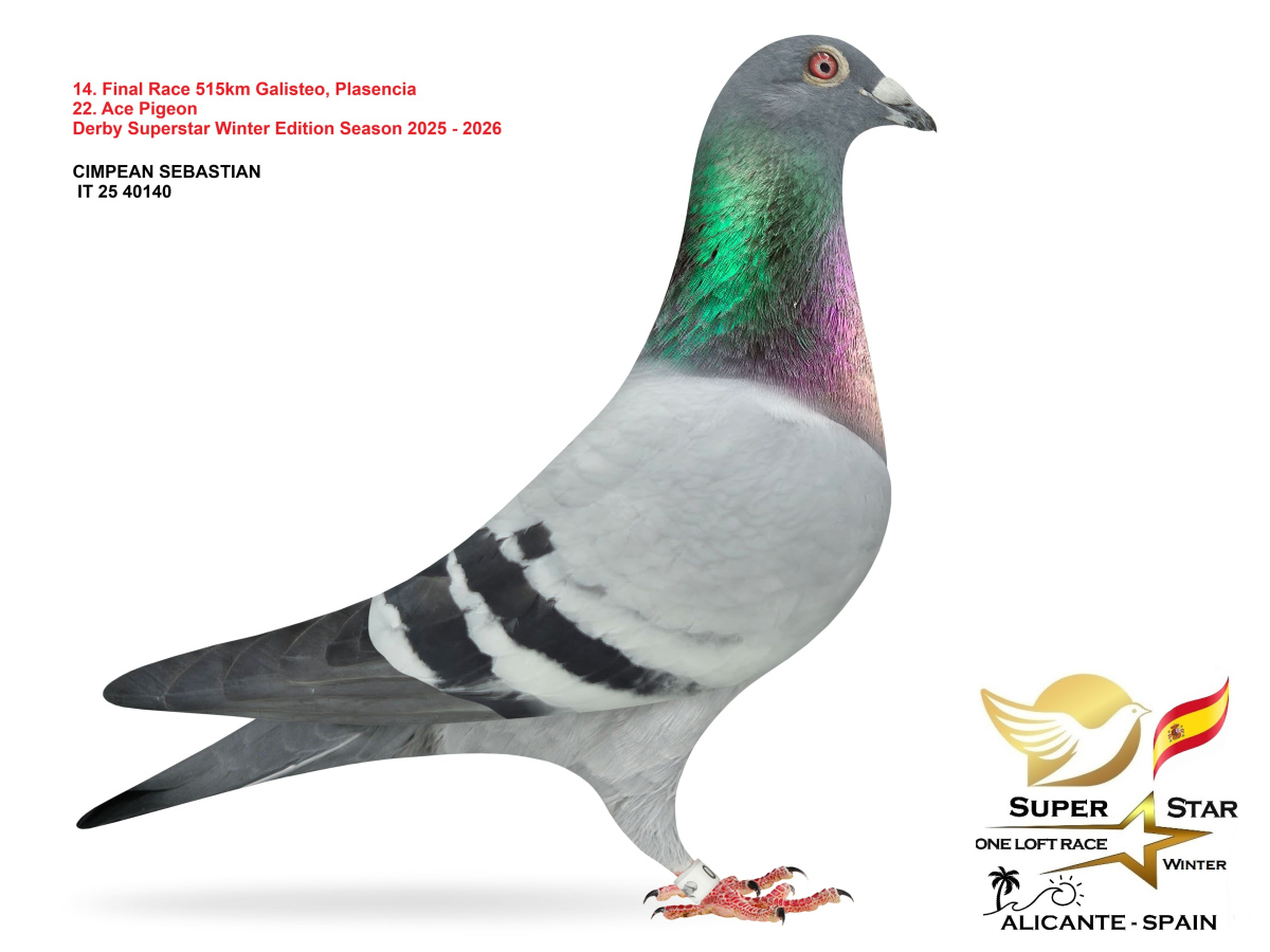 Final Superstar Winter Edition - part 1