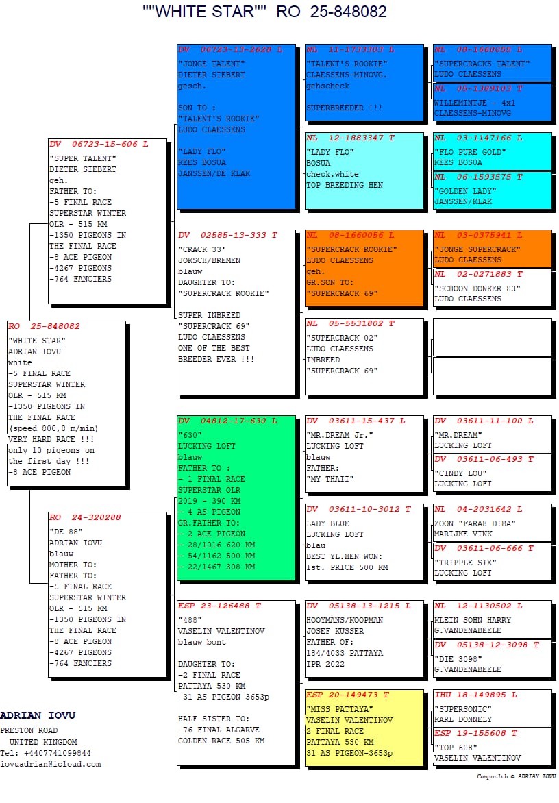 5. Final Race 515km Galisteo, Plasencia;
8. Ace Pigeon
Derby Superstar Winter Edition Season 2025 - 2026 

IOVU ADRIAN
 RO 25 848082