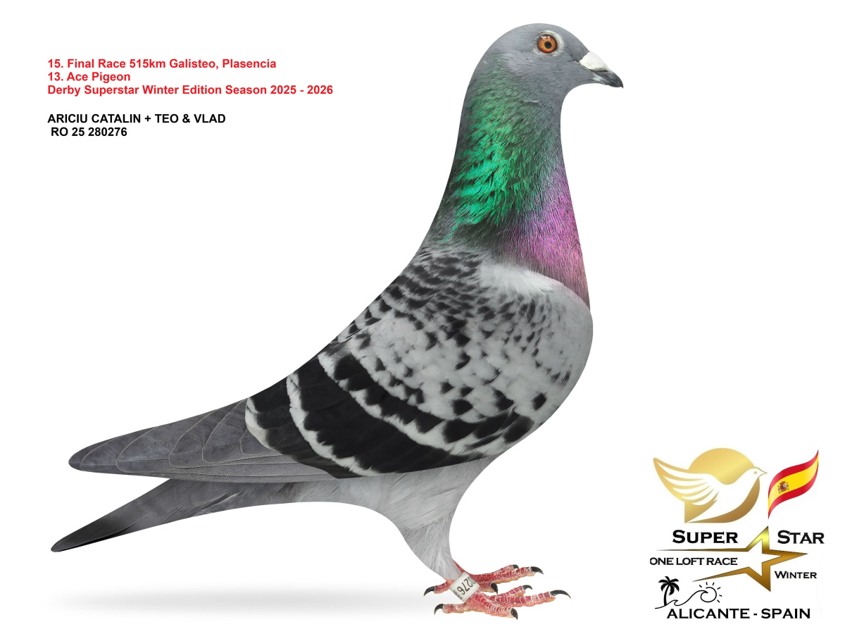 Final Superstar Winter Edition - part 2