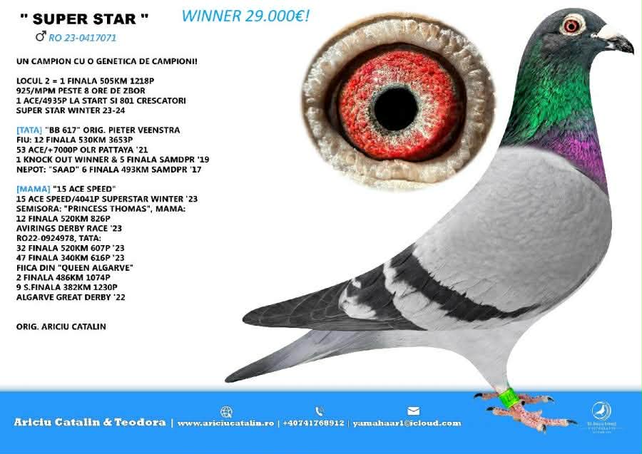 16. Final Race 515km Galisteo, Plasencia;
110. Ace Pigeon
Derby Superstar Winter Edition Season 2025 - 2026 

ARICIU CATALIN + TEO & VLAD
 RO 25 280275
