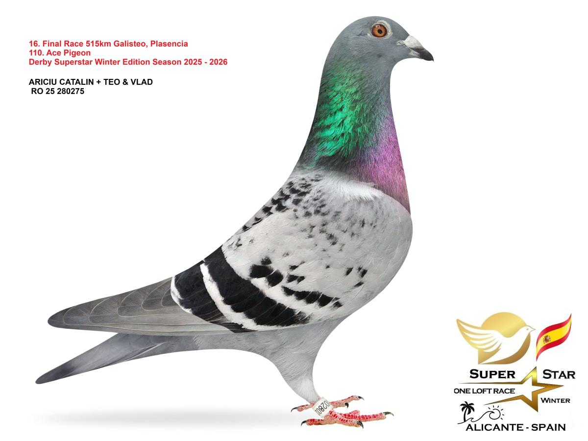 Final Superstar Winter Edition - part 2