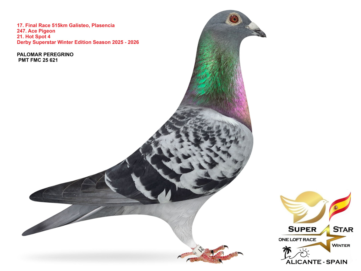 Final Superstar Winter Edition - part 2