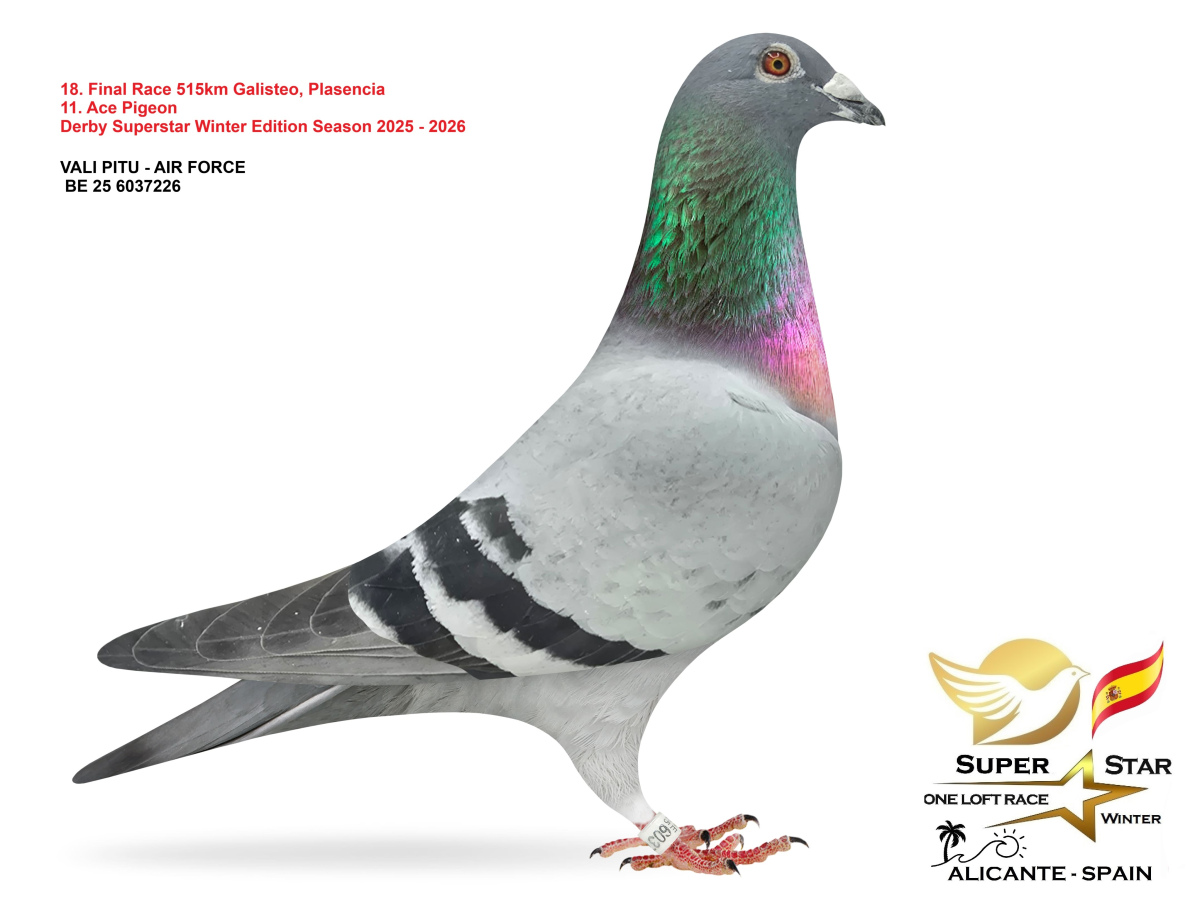 Final Superstar Winter Edition - part 2