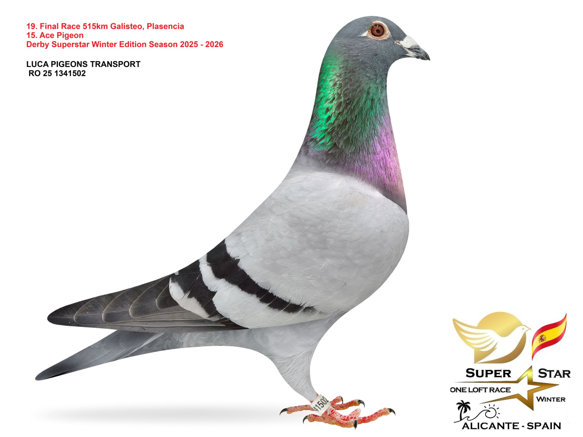 Final Superstar Winter Edition - part 2