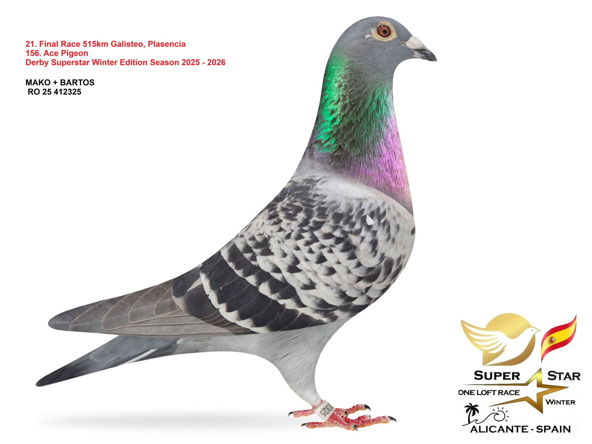 Final Superstar Winter Edition - part 2