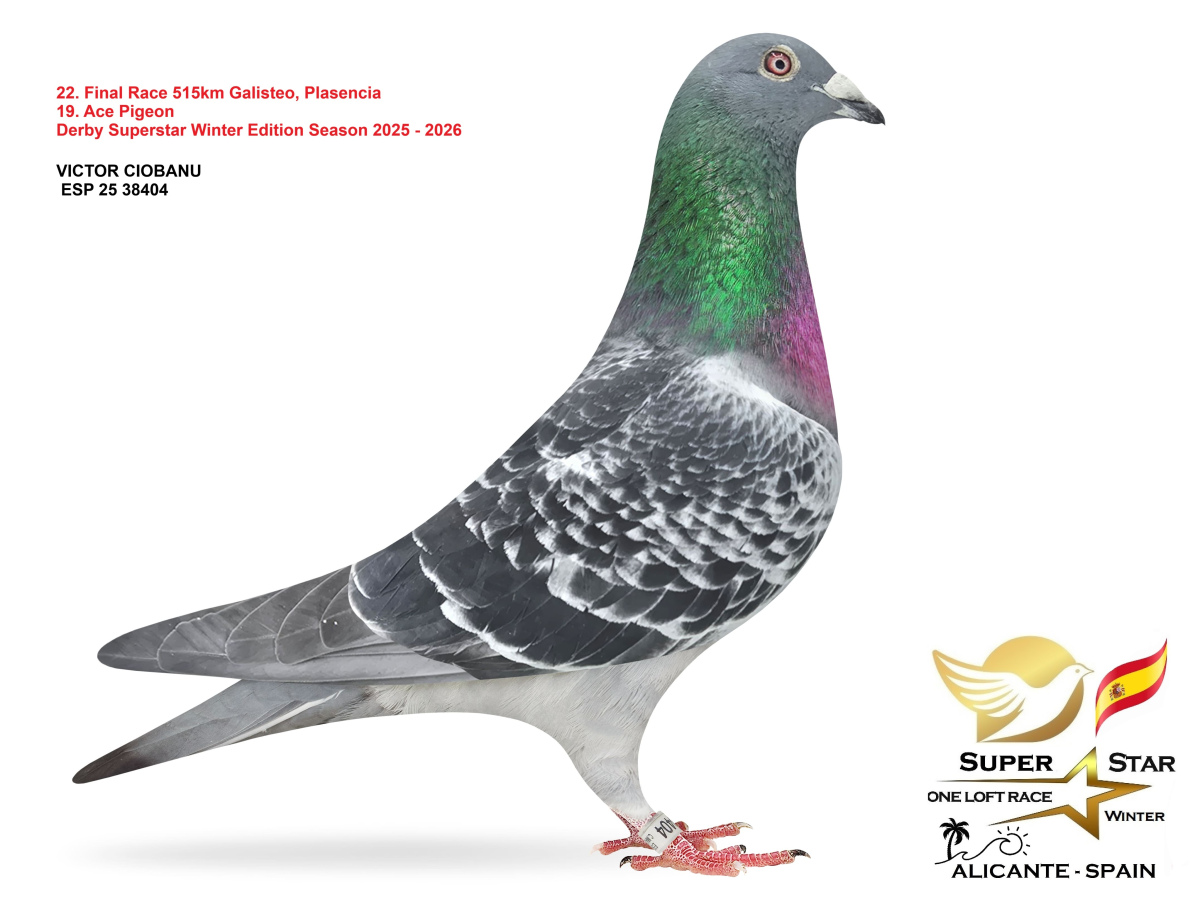 Final Superstar Winter Edition - part 2