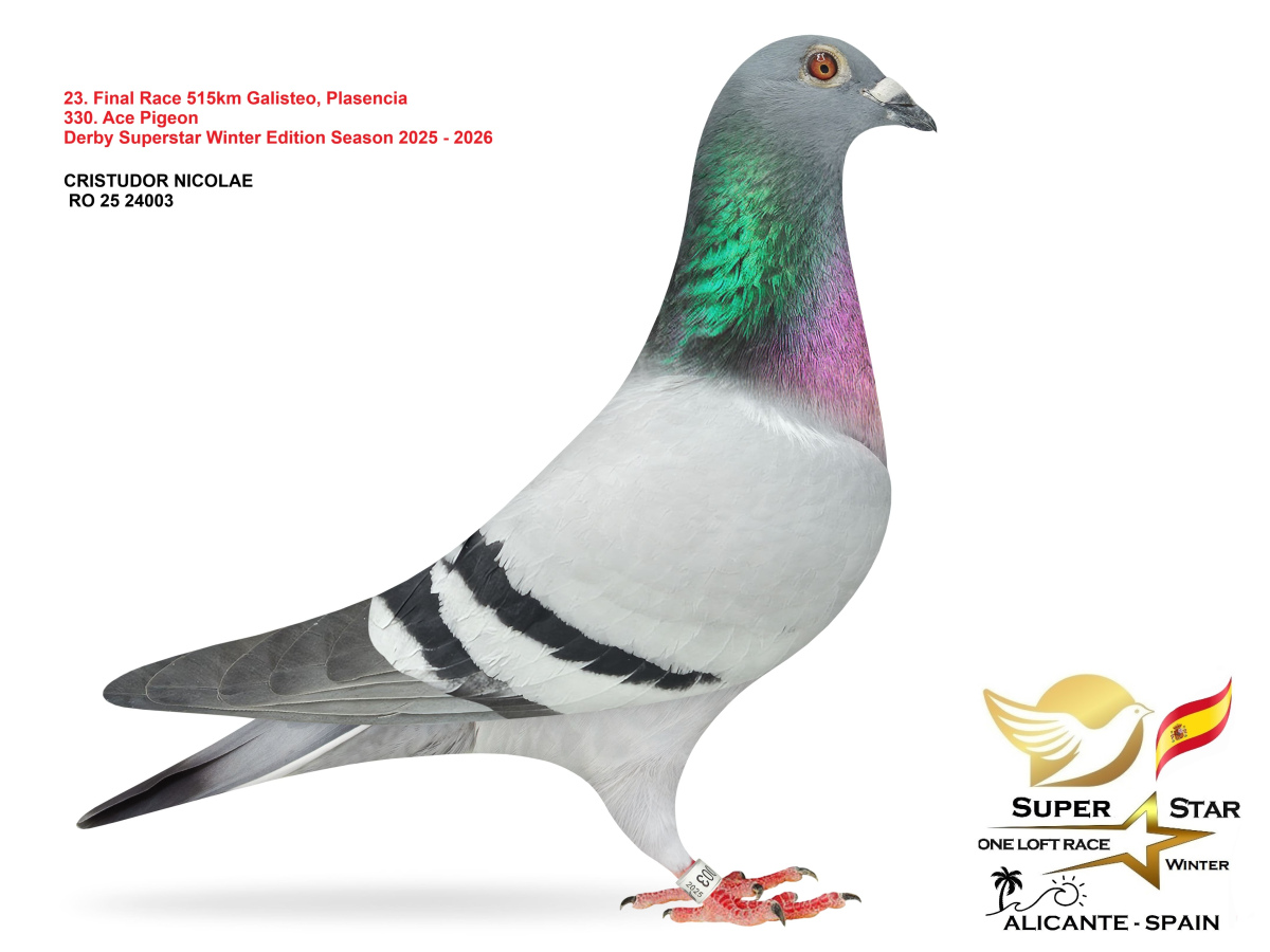 Final Superstar Winter Edition - part 2