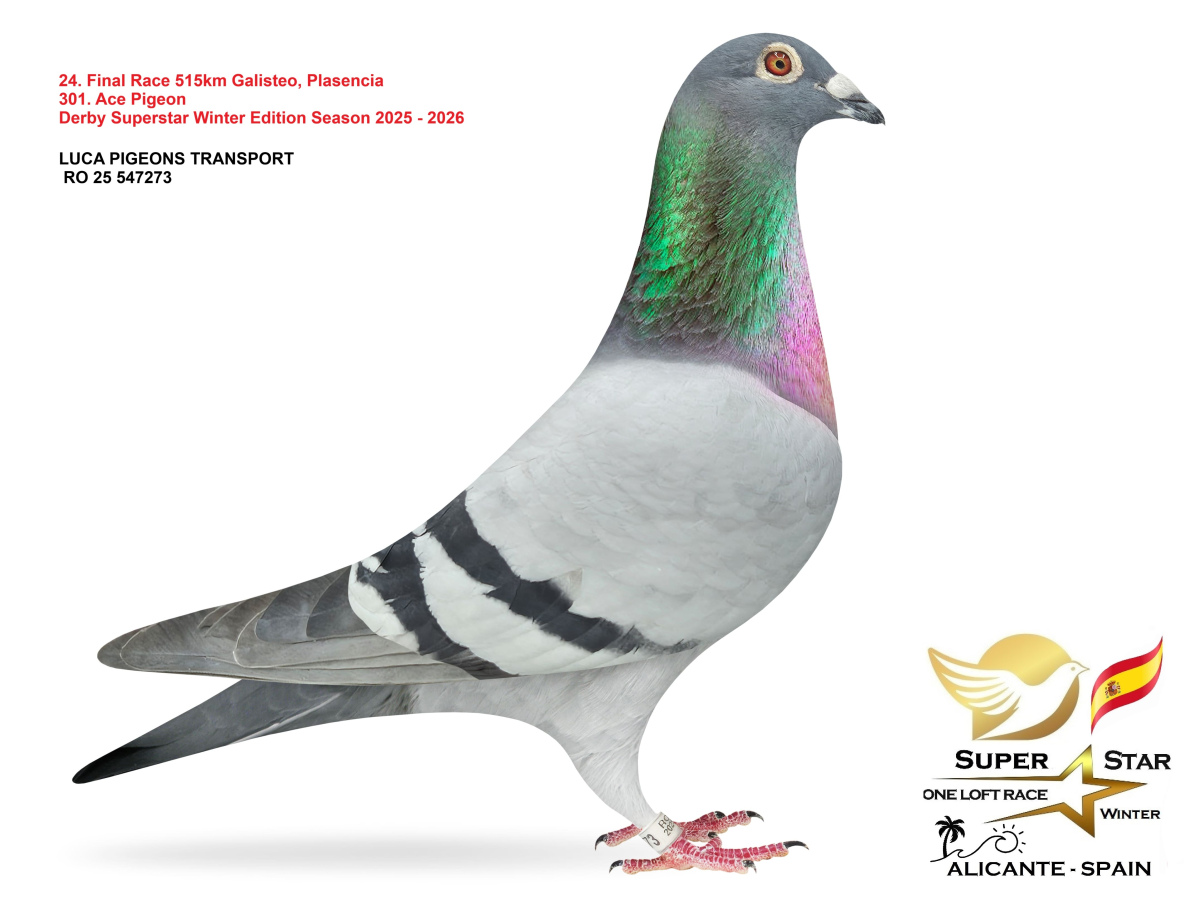 Final Superstar Winter Edition - part 2