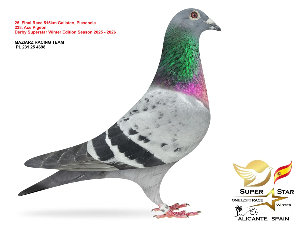 Final Superstar Winter Edition - part 2