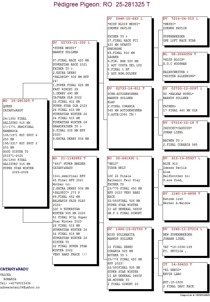 26. Final Race 515km Galisteo, Plasencia;
14. Ace Pigeon,
17. Semifinal Race 330km Nambroca,
135. Hot Spot 4
Derby Superstar Winter Edition Season 2025 - 2026 

CATANY & RADU
 RO 25 281325