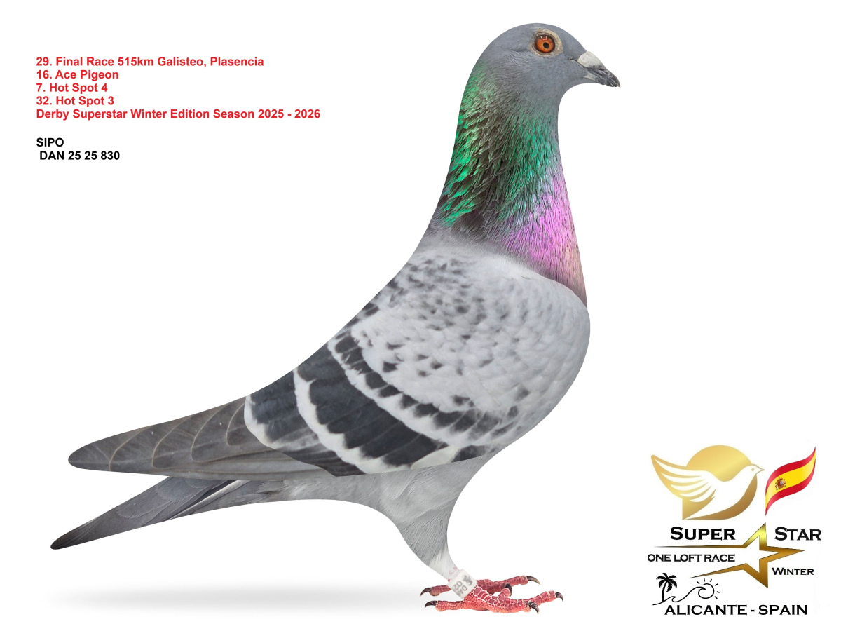 Final Superstar Winter Edition - part 2